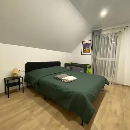 Atostogu Namas Twins * Druskininkai