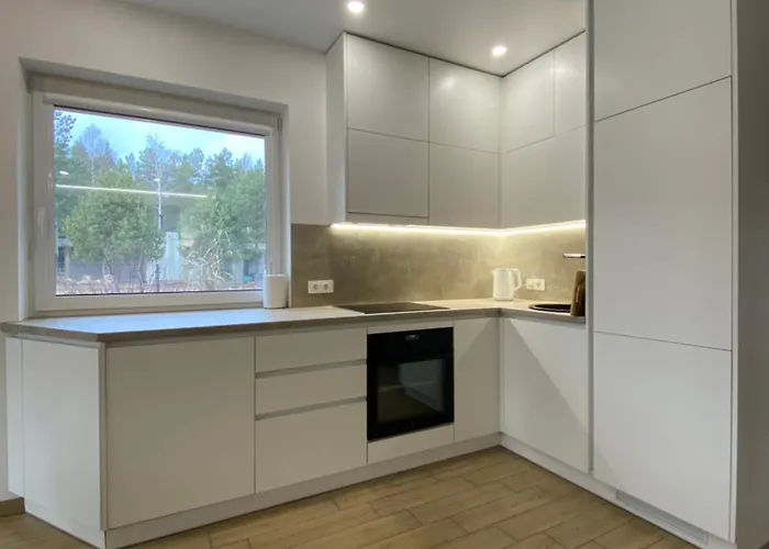 Atostogu Namas Twins Apartament Druskieniki