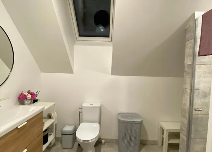 Atostogu Namas Twins Apartament Druskieniki